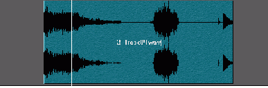    Secret Virtual Sound
