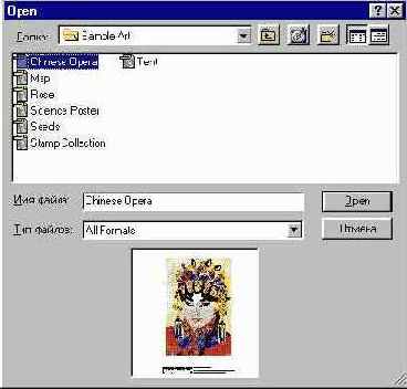 Adobe Illustrator 9.0
