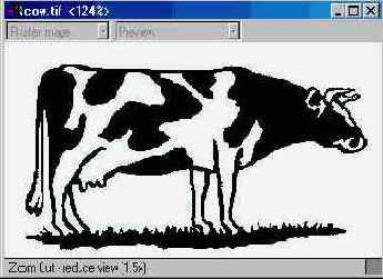 Adobe Illustrator 9.0
