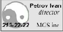  Illustrator CS 2004
