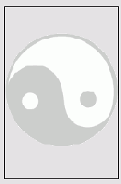  Illustrator CS 2004
