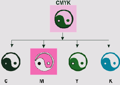 Самоучитель Illustrator CS 2004
