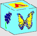  Illustrator CS 2004
