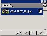  Illustrator CS 2004
