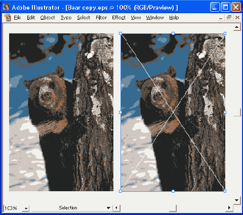    Adobe Illustrator 10
