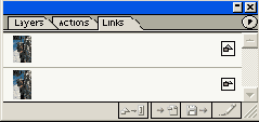    Adobe Illustrator 10
