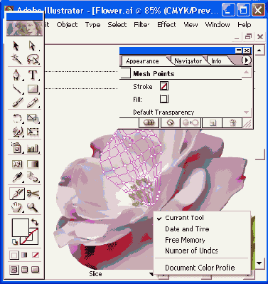 Иллюстрированный самоучитель по Adobe Illustrator 10