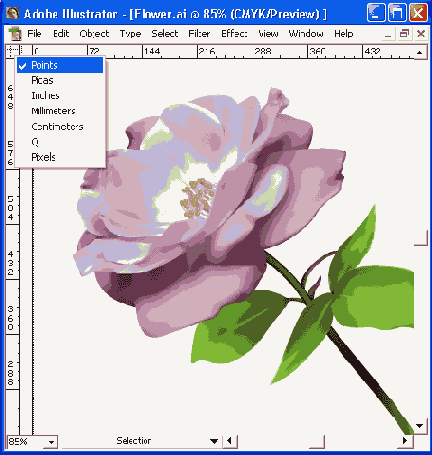 Иллюстрированный самоучитель по Adobe Illustrator 10