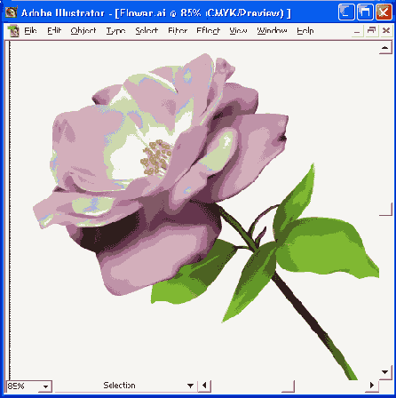    Adobe Illustrator 10
