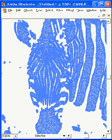    Adobe Illustrator 10
