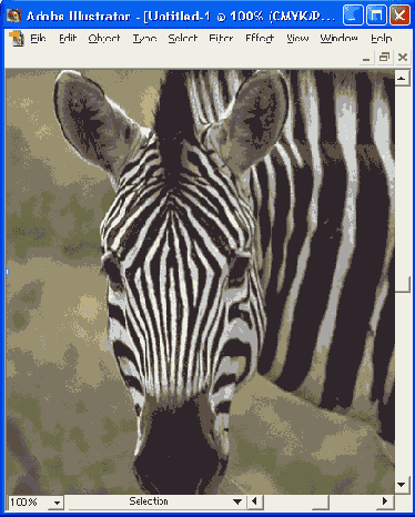    Adobe Illustrator 10
