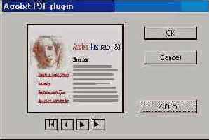 Adobe Illustrator 9.0
