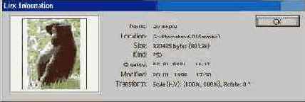 Adobe Illustrator 9.0

