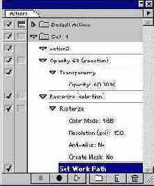 Adobe Illustrator 9.0

