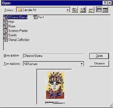 Adobe Illustrator 9.0
