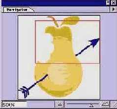Adobe Illustrator 9.0
