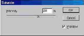 Adobe Illustrator 9.0
