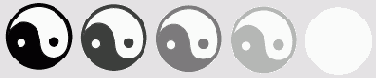  Adobe Illustrator CS
