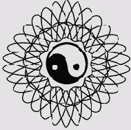  Illustrator CS