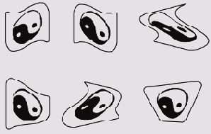  Illustrator CS