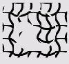  Illustrator CS