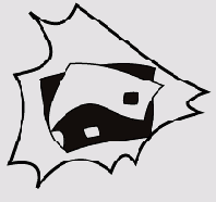  Illustrator CS