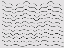  Illustrator CS