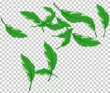  Illustrator CS