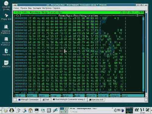    LINUX   tiny-crackme
