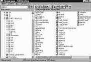     Linux
