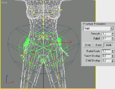     pelvis -   