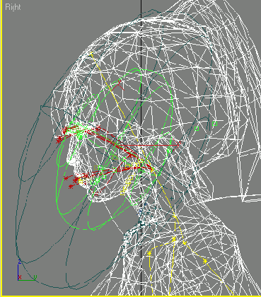     ,   head