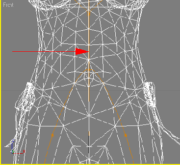  pelvis   