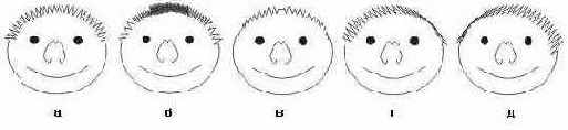 
 Roughen brush