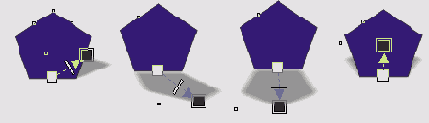    Interactive Shadow
